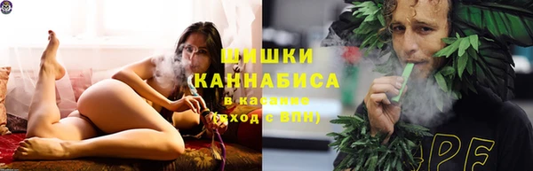гидра Белоозёрский