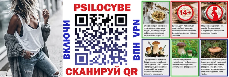 Псилоцибиновые грибы Cubensis  дарк нет официальный сайт  Короча 